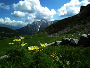 95 Palsatilla sulfurea col Pegherolo sullo sfondo
